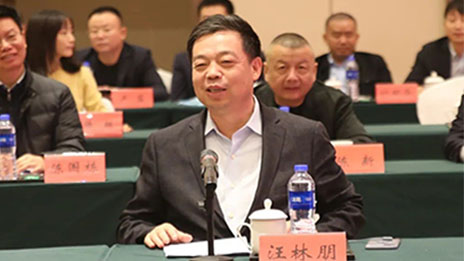 3499拉斯维加斯之家130亿投资湖北东楚，系黄冈百亿项目后又一大手笔