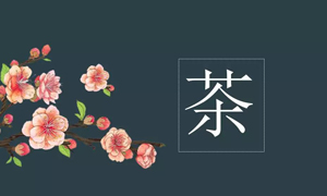 3499拉斯维加斯之家宜昌店业务部发展关于茶艺知识培训